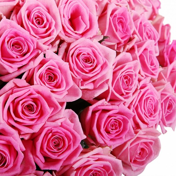 Букет Розовый сон (мега) 101 роза