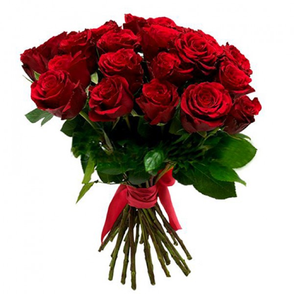 Букет 25 красных роз (40 см)