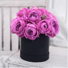 Букет Фиолетовые пионовидные розы в коробке (21 роза)